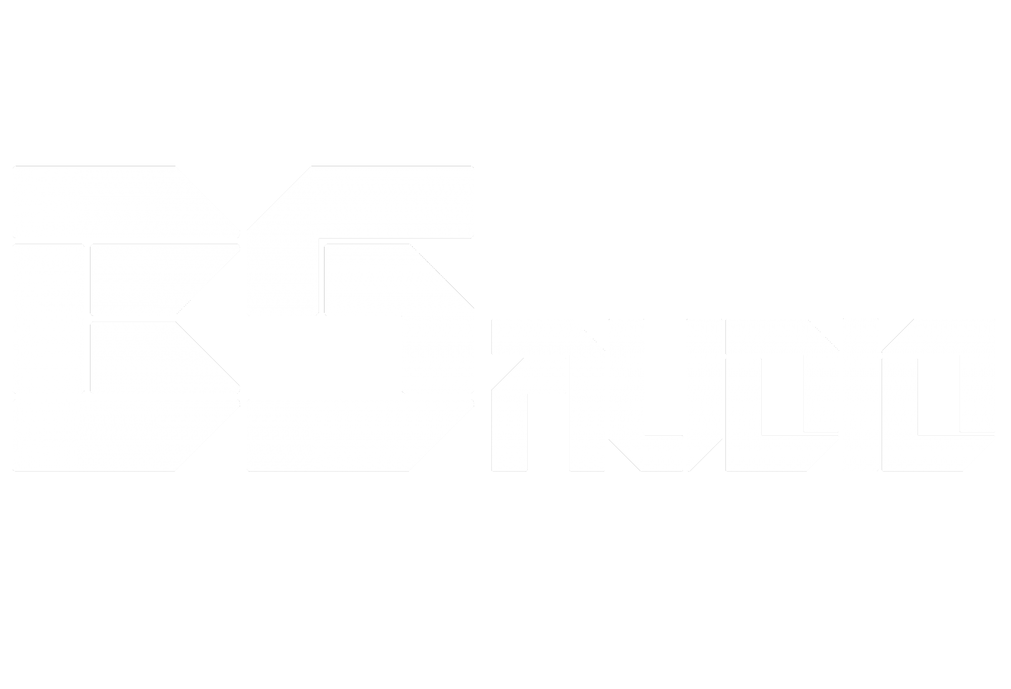 BSaudio logo